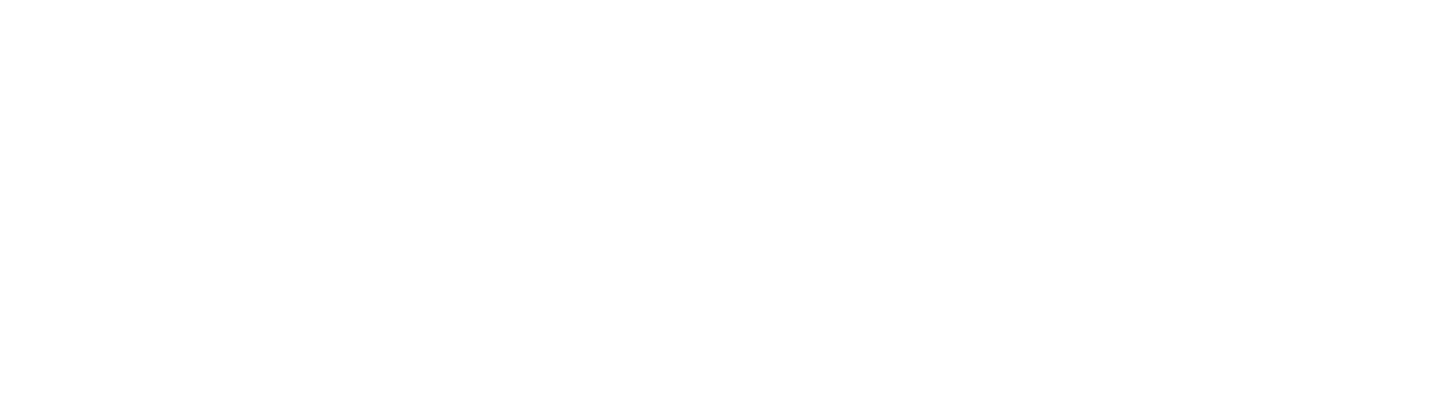 ARES wordmark logo — outline version